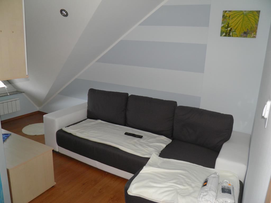 Guesthouse Prenocisca Sirec Potony Szoba fotó