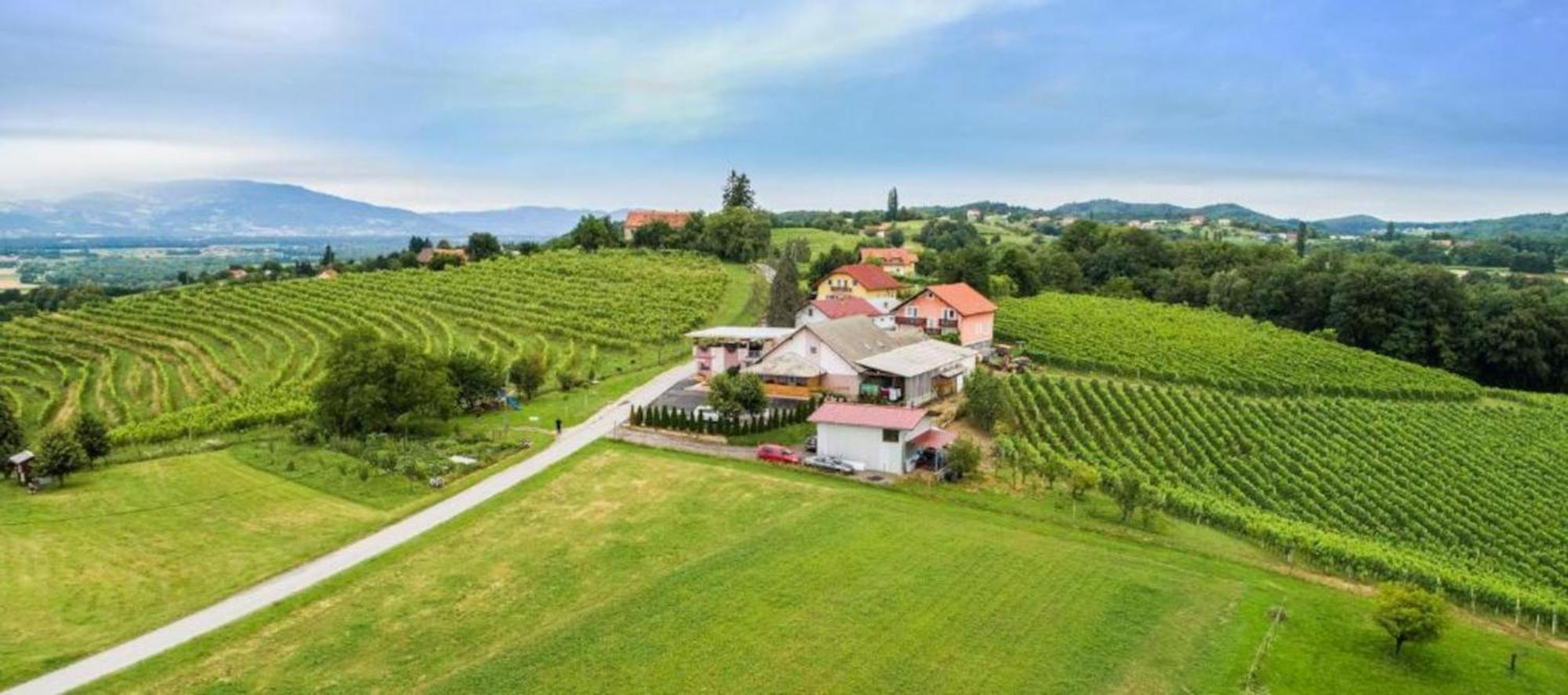 Guesthouse Prenocisca Sirec Potony Kültér fotó